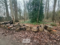 Partij brandhout - afbeelding 3 van  3