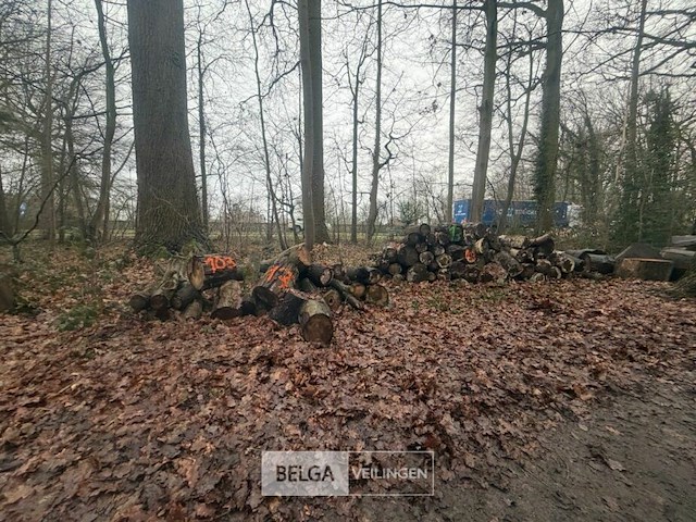 Partij brandhout - afbeelding 1 van  4