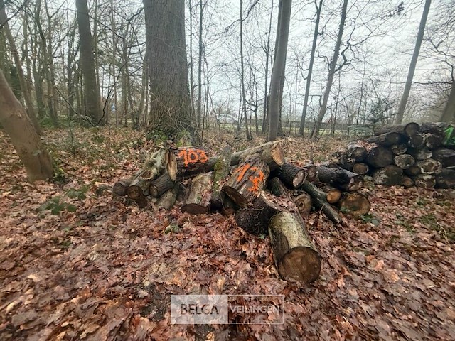 Partij brandhout - afbeelding 2 van  4