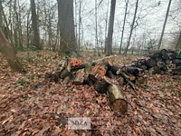 Partij brandhout - afbeelding 2 van  4