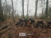 Partij brandhout - afbeelding 3 van  4