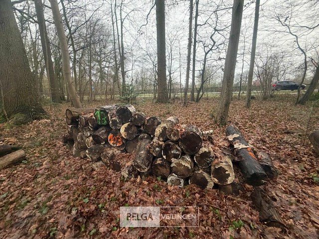 Partij brandhout - afbeelding 4 van  4