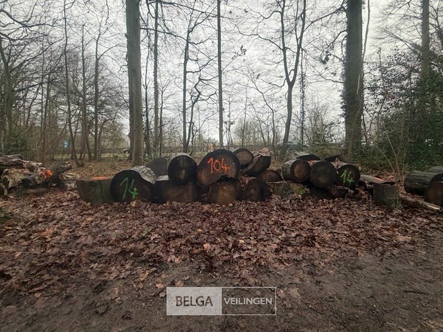 Partij brandhout - afbeelding 1 van  4