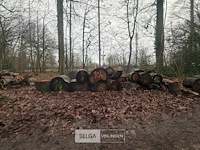 Partij brandhout - afbeelding 1 van  4