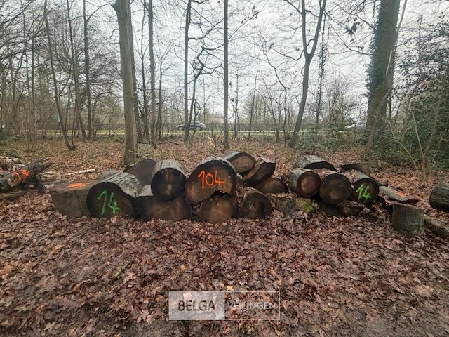 Partij brandhout - afbeelding 2 van  4