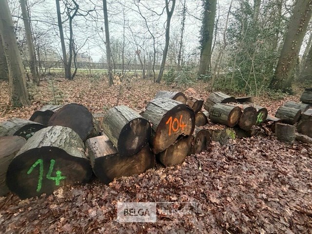 Partij brandhout - afbeelding 4 van  4