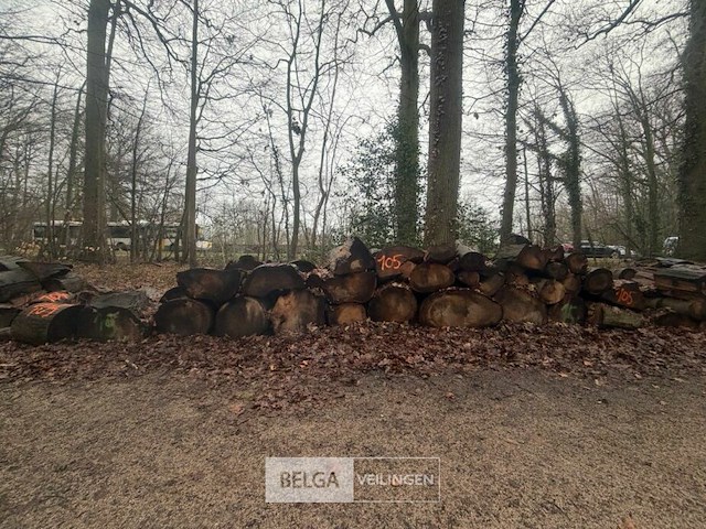 Partij brandhout - afbeelding 1 van  3