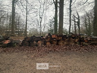 Partij brandhout - afbeelding 1 van  3