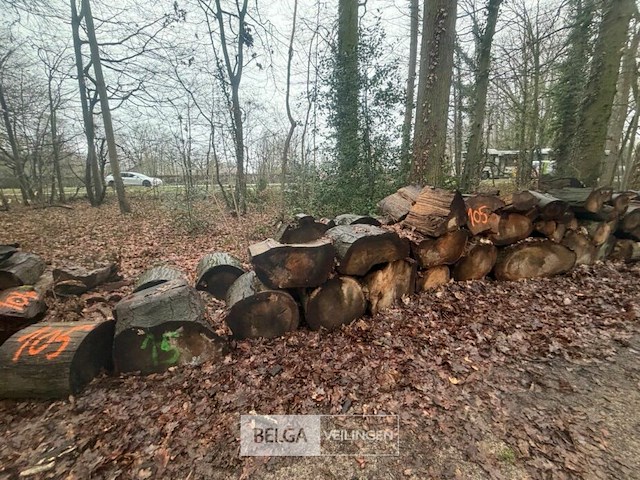 Partij brandhout - afbeelding 2 van  3