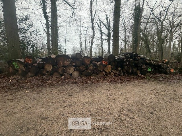 Partij brandhout - afbeelding 1 van  3