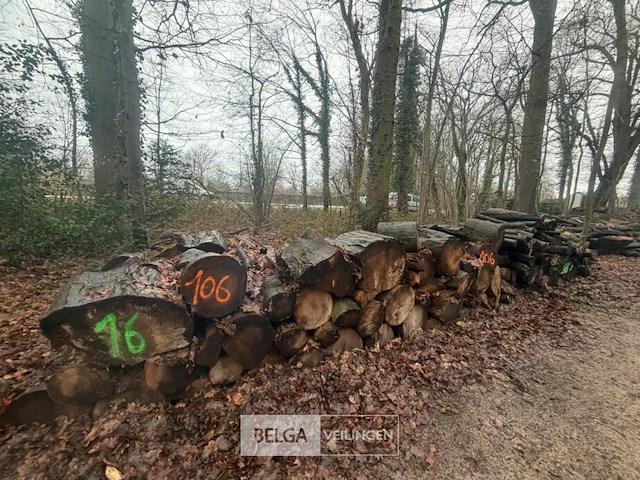 Partij brandhout - afbeelding 2 van  3