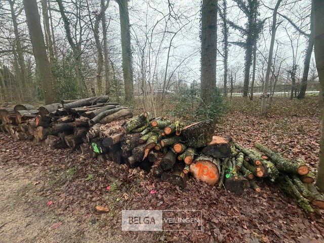 Partij brandhout - afbeelding 3 van  3