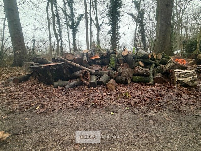 Partij brandhout - afbeelding 1 van  2