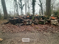 Partij brandhout - afbeelding 1 van  2