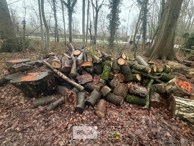 Partij brandhout - afbeelding 2 van  2