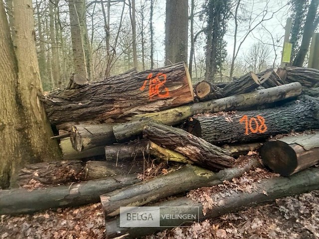 Partij brandhout - afbeelding 3 van  4