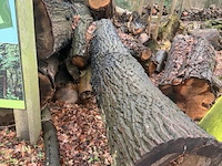 Partij brandhout - afbeelding 4 van  4