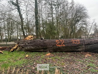 Partij brandhout - afbeelding 1 van  4