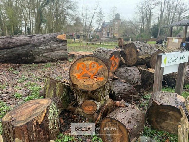 Partij brandhout - afbeelding 2 van  4