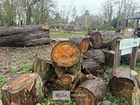 Partij brandhout - afbeelding 2 van  4