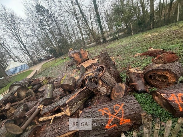 Partij brandhout - afbeelding 3 van  4