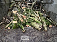 Partij brandhout - afbeelding 2 van  6