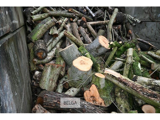Partij brandhout - afbeelding 5 van  6