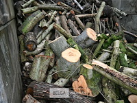 Partij brandhout - afbeelding 5 van  6