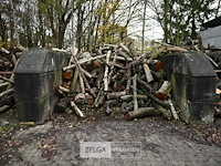 Partij brandhout - afbeelding 1 van  6
