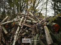 Partij brandhout - afbeelding 3 van  6