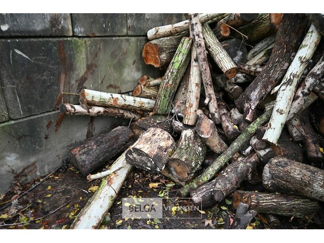 Partij brandhout - afbeelding 4 van  6