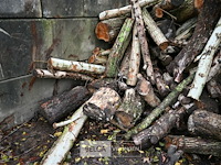 Partij brandhout - afbeelding 4 van  6