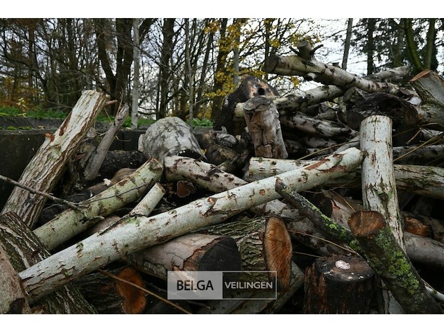 Partij brandhout - afbeelding 5 van  6