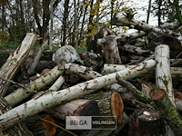 Partij brandhout - afbeelding 5 van  6