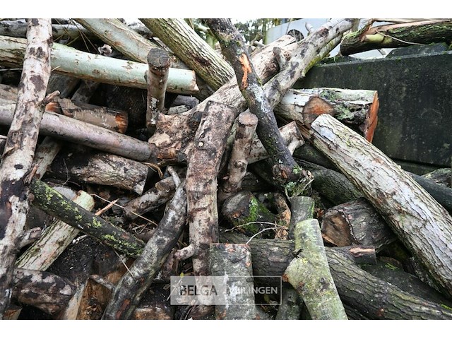 Partij brandhout - afbeelding 6 van  6