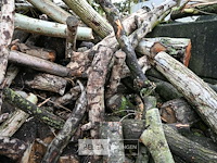 Partij brandhout - afbeelding 6 van  6