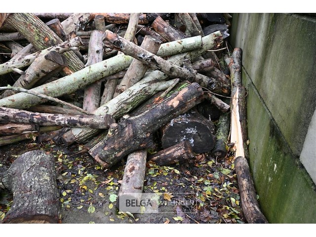 Partij brandhout - afbeelding 2 van  7