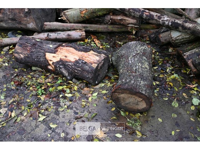 Partij brandhout - afbeelding 3 van  7