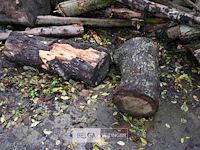 Partij brandhout - afbeelding 3 van  7