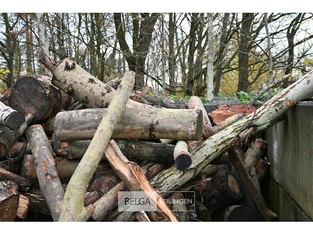 Partij brandhout - afbeelding 4 van  7