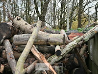 Partij brandhout - afbeelding 4 van  7