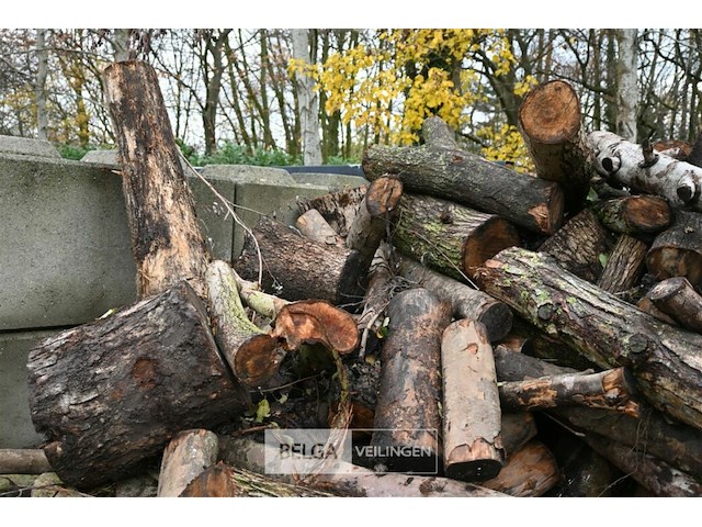 Partij brandhout - afbeelding 5 van  7