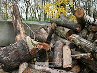 Partij brandhout - afbeelding 5 van  7