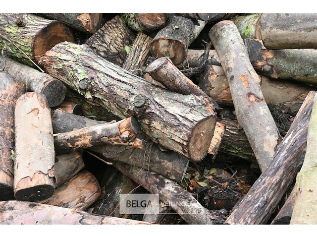 Partij brandhout - afbeelding 6 van  7