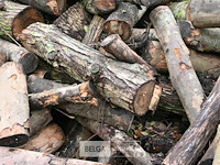 Partij brandhout - afbeelding 6 van  7
