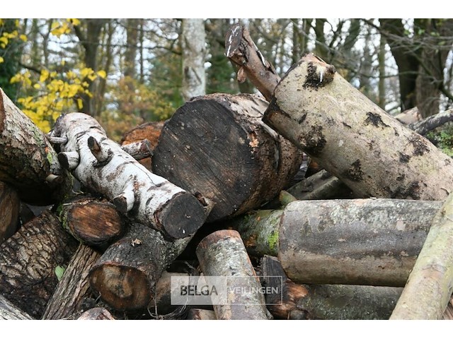 Partij brandhout - afbeelding 7 van  7