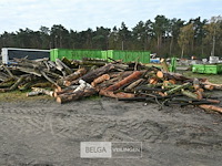 Partij brandhout - afbeelding 2 van  8