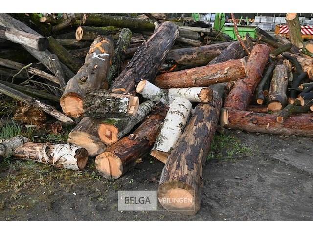Partij brandhout - afbeelding 3 van  8