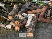 Partij brandhout - afbeelding 3 van  8