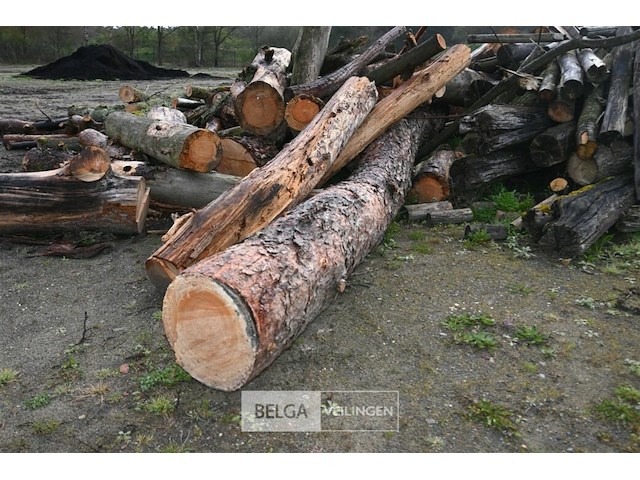 Partij brandhout - afbeelding 8 van  8